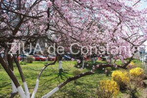 ANM: Cum va fi vremea in aprilie