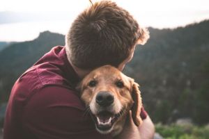 Animalele de companie îţi pot îmbunătăţi viaţa. Iată cum