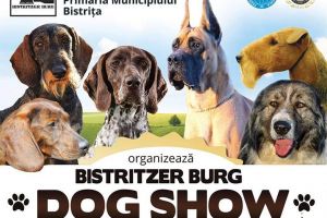 Câini din peste 80 de rase vin în week-end la Viişoara