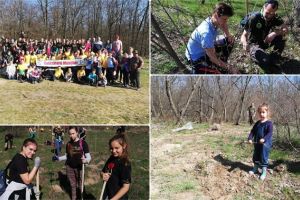 FOTO. Voluntariat! Peste 1.000 de puieţi, plantaţi într-o pădure din Satu Mare