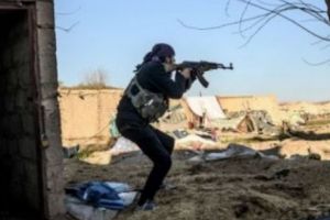 Ungaria întrebă: Câţi terorişti au primit card de migrant?