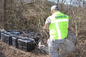 Ţigări de aproape 40.000 de euro, descoperite în anexa unei gospodării la Straja