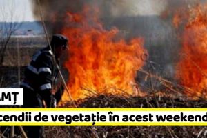NEAMȚ: 5 incendii de vegetaţie în acest weekend