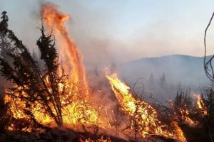 Weekend de foc pentru pompierii arădeni. Au avut de stins zeci de incendii