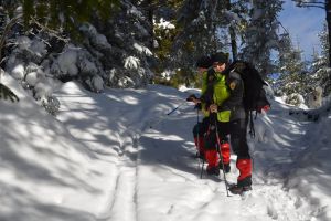 Acţiune de monitorizare a urşilor după ieşirea din hibernare în Parcul Naţional Cheile Bicazului – Hăşmaş