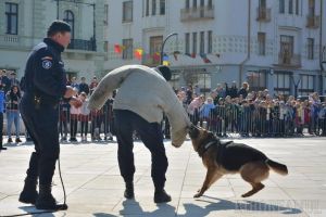 Centenarul Jandarmeriei Bihor: Lupte corp la corp, demonstraţii cu câinii de intervenţie şi focuri de armă, în Piaţa Unirii (FOTO / VIDEO)