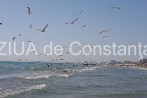 Cum va fi vremea la Constanta in urmatoarele doua saptamani. Ce spun meteorologii