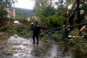 Bilantul furtunilor din aceasta seara. Mai multi copaci au cazut. Un barbat a murit in Bucuresti