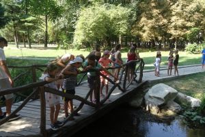 Începând de sâmbătă, 30 martie, în Parcul Nicolae Romanescu va fi reluată activitatea de închiriere bărci şi hidrobiciclete pentru plimbări pe lac