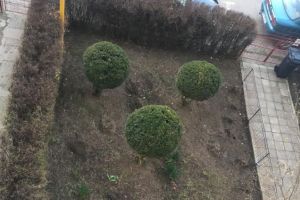 Cea mai frumoasă grădină din cartierul tău!