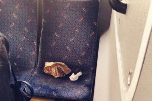 O mostră de „civilizaţie” în transportul public…