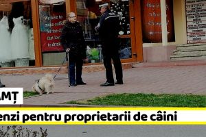 NEAMȚ: Poliţia Locală Piatra-Neamţ, amenzi pentru proprietarii de câini