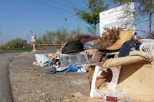 Cu bicicleta, pe pistă: coji de seminţe la intrare în Utvin, gunoi la ieşire din Timişoara