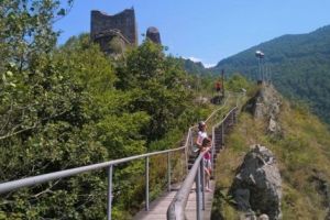 Prefectura cere mutarea a doi urşi din Arefu