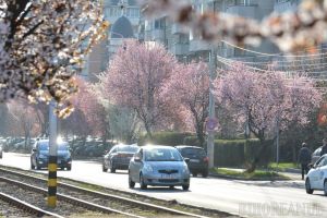 Temperaturile scad. Cum va fi vremea în următoarele două săptămâni