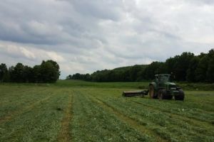 Obligaţiile beneficiarilor APIA care au fost Radiaţi din Registrul Comerţului