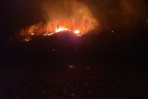FOTO Incendii devastatoare în judeţul Sibiu – Peste cinci hectare de pădure făcute scrum