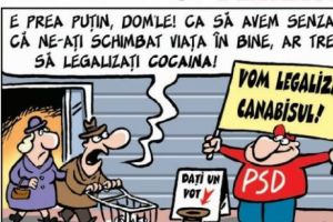 Părerea lui Terente 