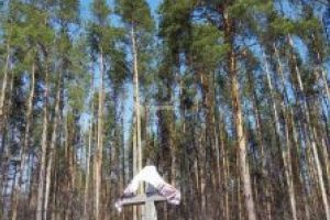 Ziua naţională de cinstire a memoriei românilor – victime ale masacrelor de la Fântâna Albă şi alte zone