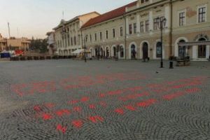 Apel pentru descifrarea unui mesaj scris cu litere runice, apărut în municipiul Sfântu Gheorghe