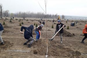 Puieţi plantaţi de elevii de la Prelipca pentru înfiinţarea unui parc dendrologic în lunca ...