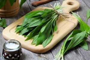 LEURDA, planta mileniului trei cu efecte miraculoase asupra organismului