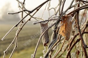 METEO: Vreme rece şi brumă pe arii restrânse. Noaptea temperaturile scad sub 0 grade