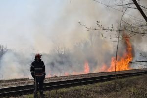 ATENȚIE ȘOFERI! Incendiu lângă un DRUM NAȚIONAL (GALERIE FOTO)
