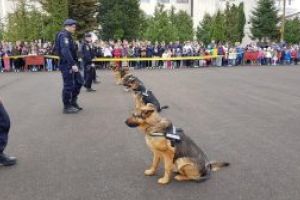 Ziua Portilor Deschise la Jandarmeria Maramures