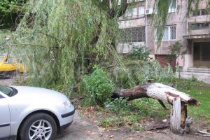 Centrul Meteorologic Regional Dobrogea: Cand a fost cea mai mare viteza a vantului la Constanta si Tulcea