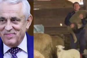 Veşti bune pentru fermieri. Anunţul făcut de ministrul Agriculturii