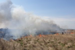 Incendiu violent in zona Vadu, judetul Constanta. Zeci de hectare mistuite de flacari (galerie foto)