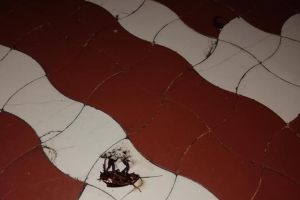 Pediatria din Deva redevine pată pe obrazul Consiliului Judeţean. Goangele au reapărut prin saloane.