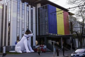 Proiect de sterilizare în Galaţi. „Vrem să devenim un model pentru România şi pentru Europa de Est”