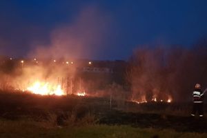 FOTO Incendiu de vegetaţie la Agnita şi pe Dealul Dăii – Intervin pompierii