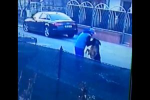 VIDEO. Căţel terorizat! Sătmărean filmat în timp ce îşi strânge câinele de gât