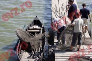 Bruxellesul se face că nu vede! Statul român a distrus investiţii de miliarde de euro, din fonduri europene