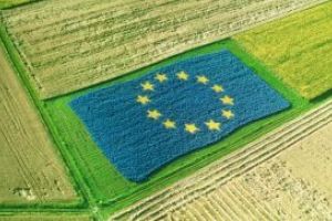 Daea: Comisia de agricultură din Parlamentul European a eliminat plafonarea obligatorie, o bucurie formidabilă pentru fermierii români