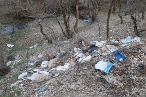 În plină lună a curăţeniei, gunoaiele zac la marginea drumurilor şi pe străzi