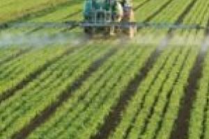 Cei mai buni fermieri din Banat vor fi premiaţi săptămâna viitoare, la Timişoara, în cadrul unei gale organizate de PRIAevents