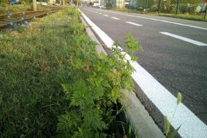 Urgenţele infrastructurii în Timişoara! Pentru ce a cerut primăria bani de la UE, pe Axa 4