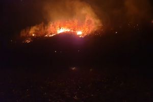 FOTO Incendiul de la Mălâncrav a fost lichidat – Pompierii s-au luptat aproape trei zile cu flăcările