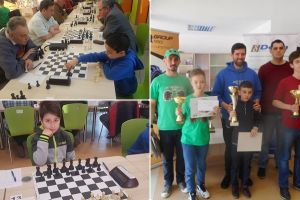 Școala de şah din Satu Mare, rezultate excelente în Ungaria şi Baia Mare
