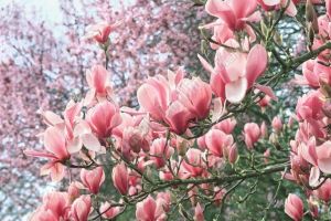 METEO: Cum va fi vremea la jumătatea săptămânii