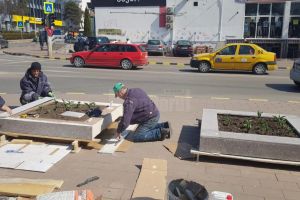 Fântâna arteziană de la Nordic, reparată şi înconjurată de verdeaţă şi flori