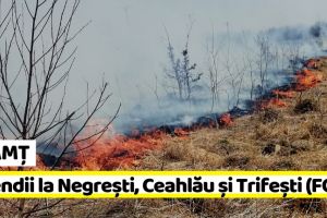 NEAMȚ: Incendii la Negreşti, Ceahlău şi Trifeşti (FOTO)