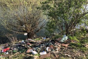 Cu buldoexcavatorul, în 