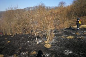 Incendiu de vegetaţie uscată pe Dealul Jelnei