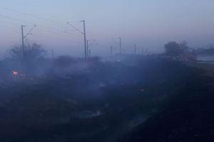 Incendiu de vegetatie uscata la balta Rotbav