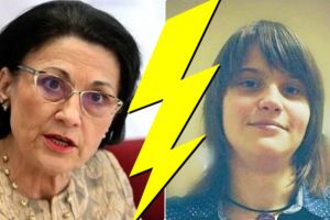 E. Andronescu despre lucrarea elevei din Satu Mare: „Revolta asta e într-un fel fără subiect”